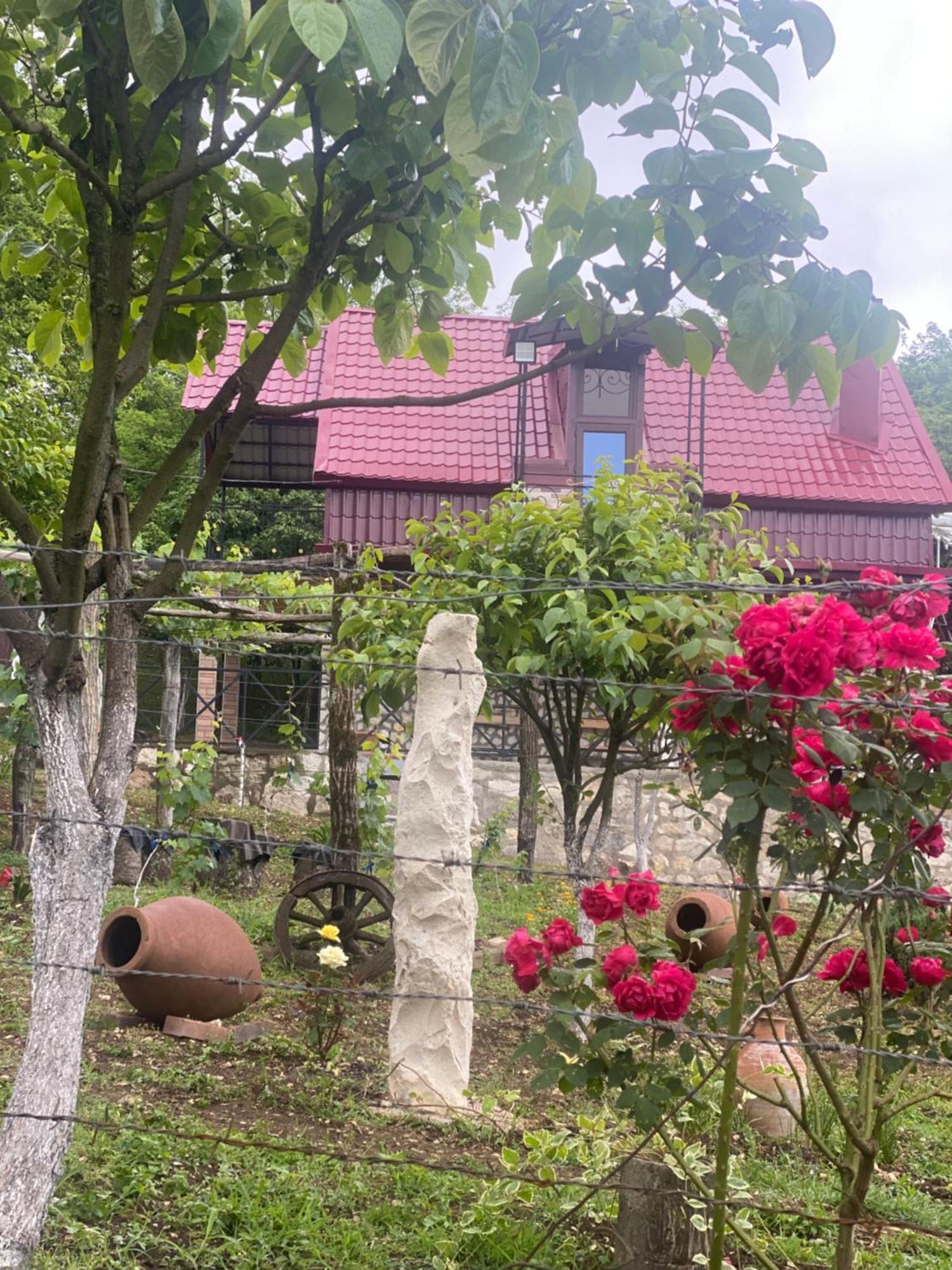 فندق Kirta Gordi المظهر الخارجي الصورة